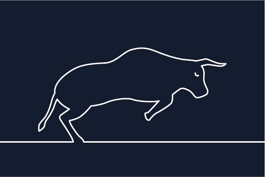 Bull graphic