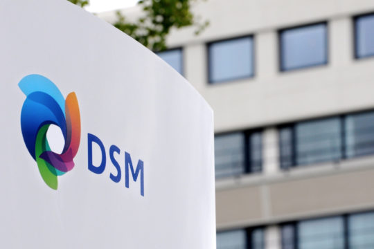 DSM Case Study header